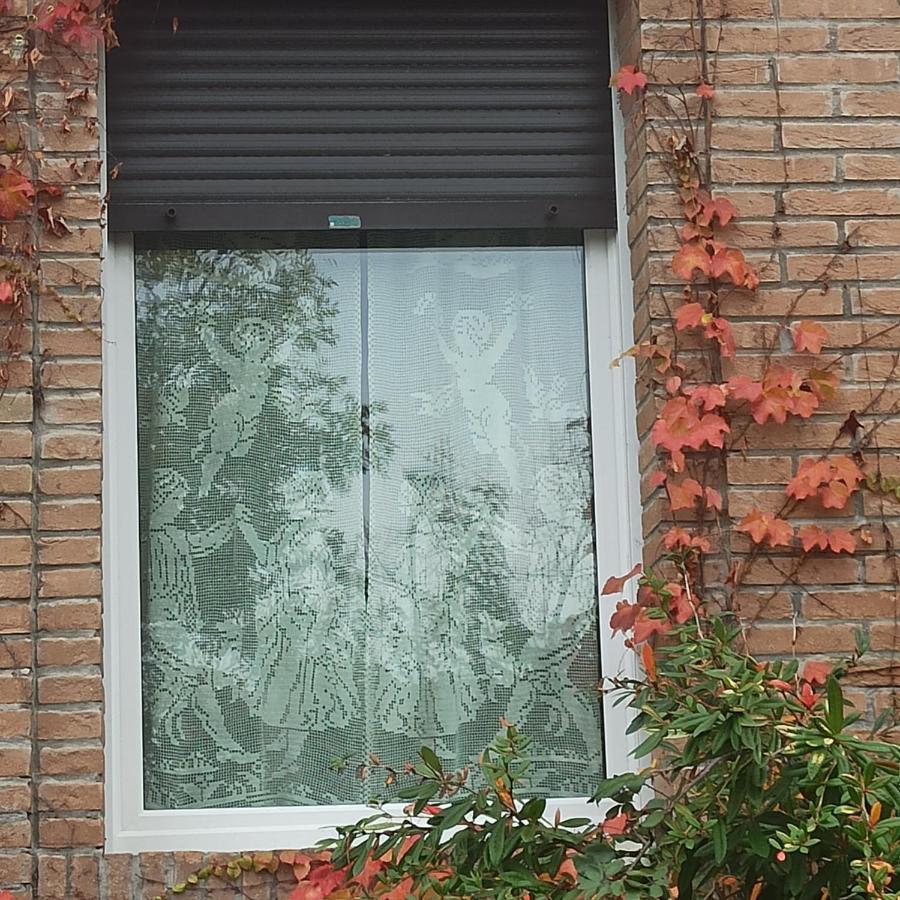فيلا Casa Vincenzo 130 Mq Con Portico Ed Ingresso Esclusivo Dal Giardino Felino المظهر الخارجي الصورة