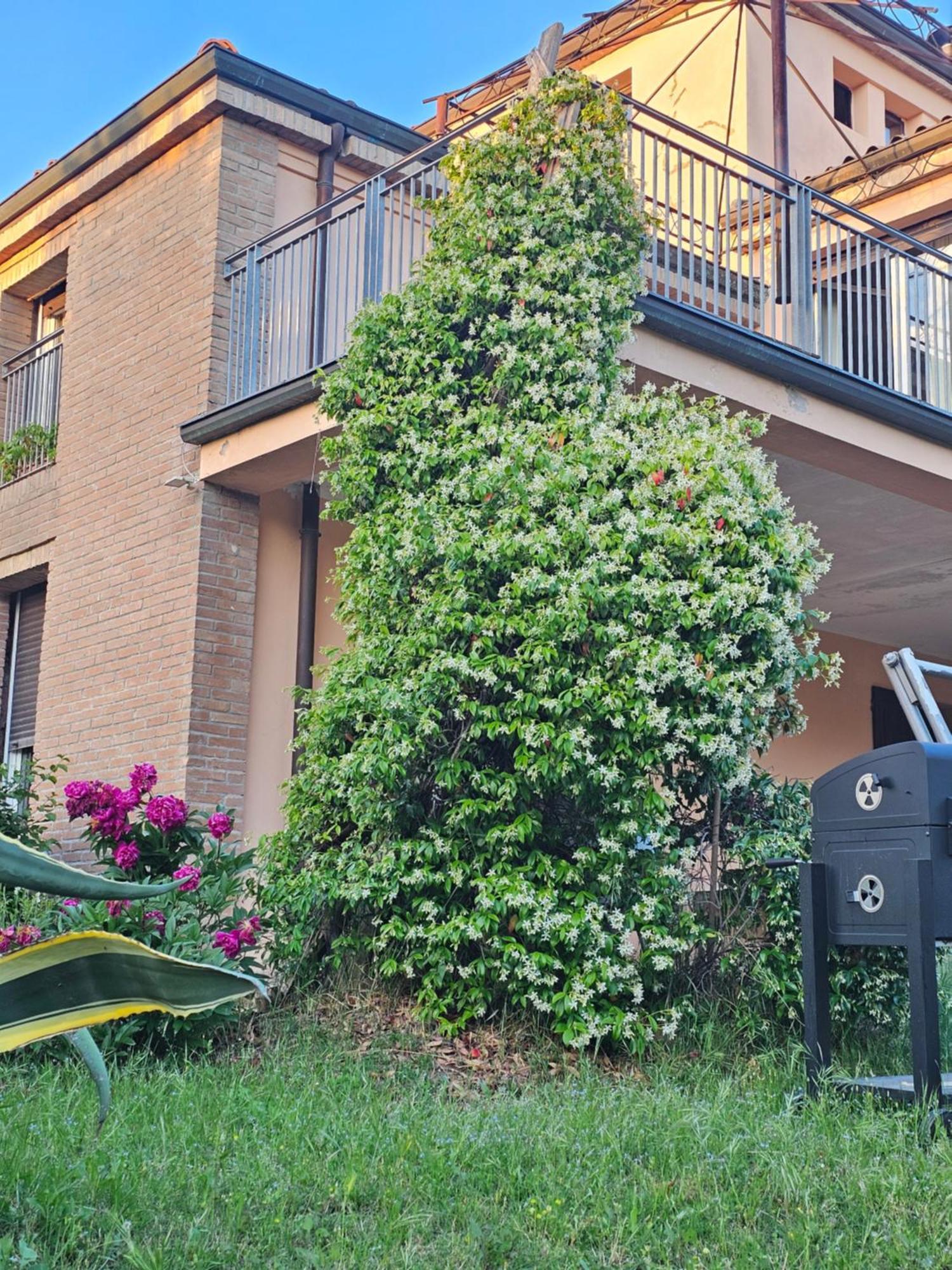 فيلا Casa Vincenzo 130 Mq Con Portico Ed Ingresso Esclusivo Dal Giardino Felino المظهر الخارجي الصورة