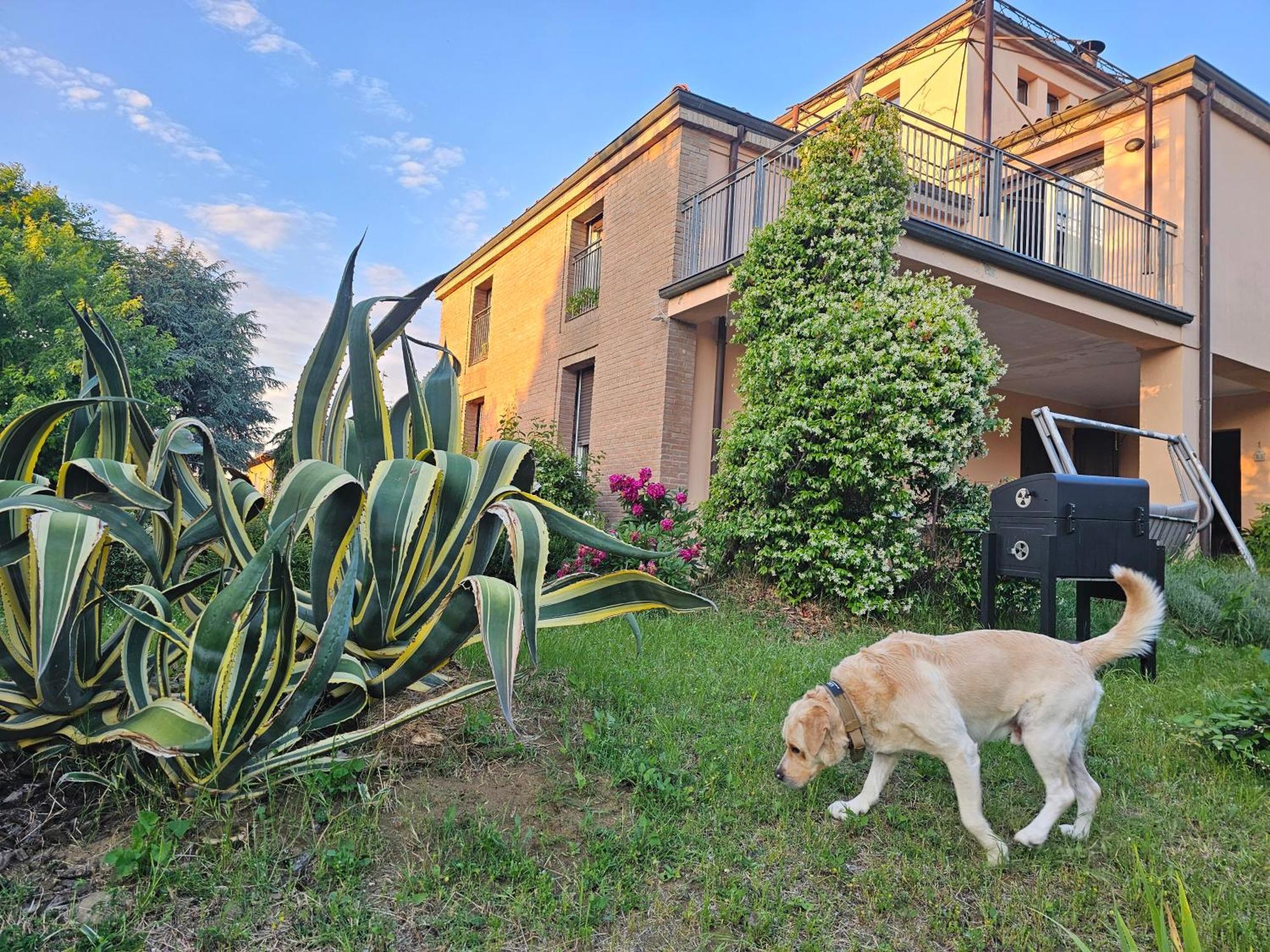 فيلا Casa Vincenzo 130 Mq Con Portico Ed Ingresso Esclusivo Dal Giardino Felino المظهر الخارجي الصورة
